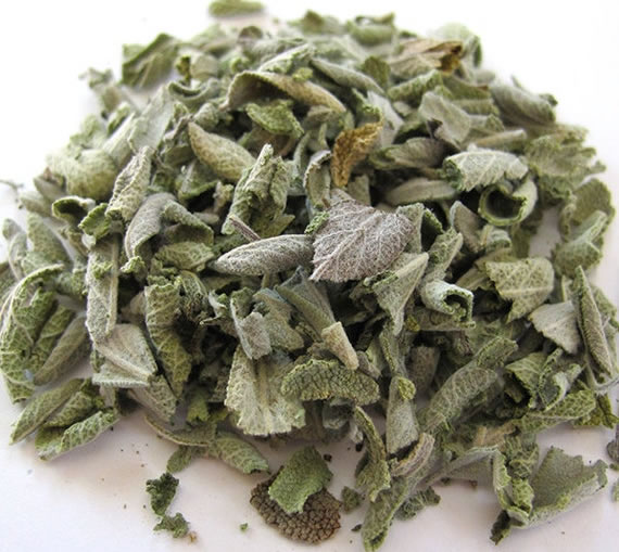 Salvia abuela 1