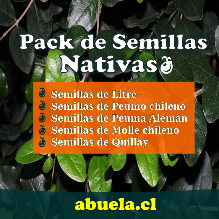 Pack semillas nativas Pack semillas nativas